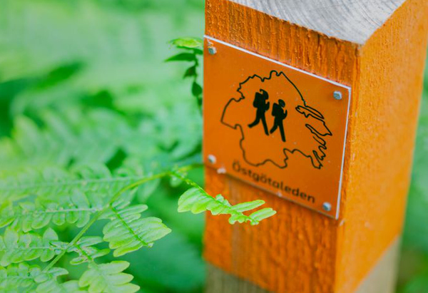 Skylt för Östgötaleden bland ormbunkar.