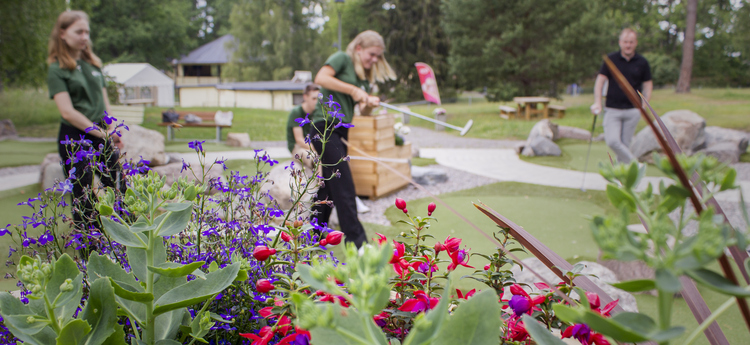 Plantering invid äventyrsgolfbana. I bakgrunden slår en tjej iväg ett slag på banan.