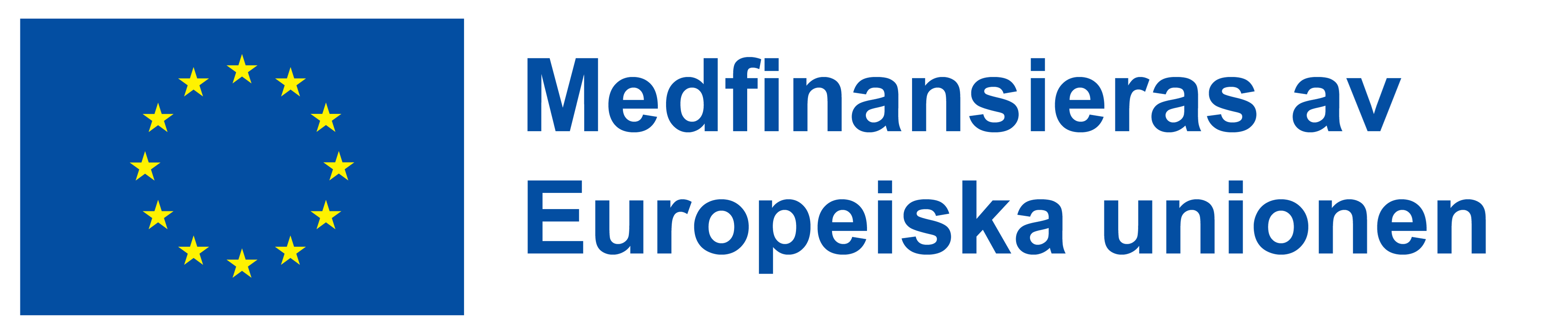 EU-logotyp. Medfinansieras av Europeiska unionen genom Europeiska socialfonden.
