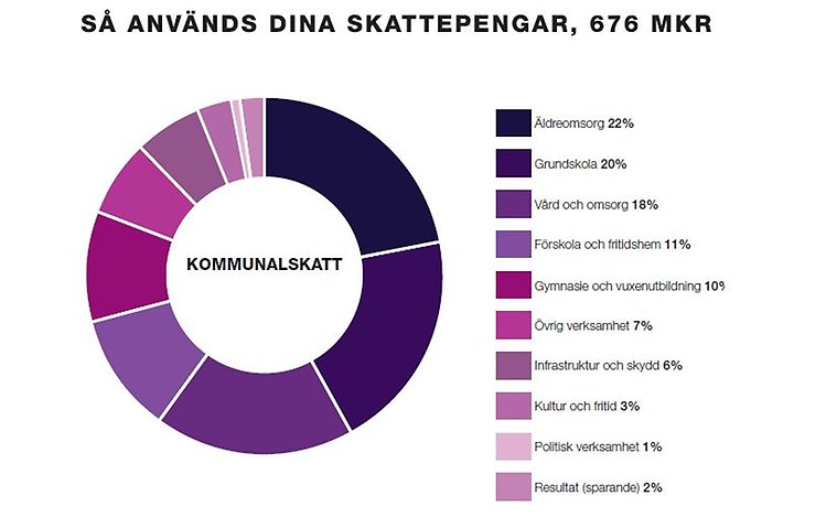 Åtvidabergs kommun har en skattesats på 21,95 procent. Av inkomna skattemedel används 22 procent till äldreomsorg, 20 procent till grundskola, 18 procent till vård och omsorg, 11 procent till förskola och fritidshem, 10 procent till gymnasie och vuxenutbildning, 7 procent till övrig kommunal verksamhet, 6 procent till infrastruktur och skydd, 3 procent till kultur och fritid, 1 procent till politisk veksamhet och 2 procent går till sparande. 